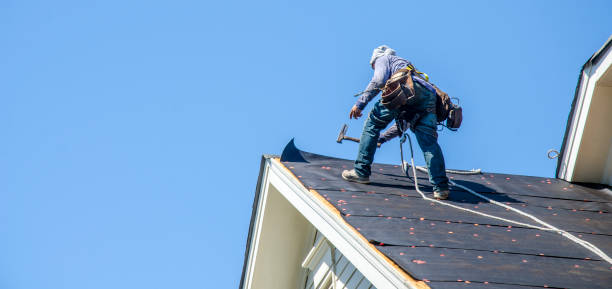 Best Shingle Roofing Installation  in La Villa, TX